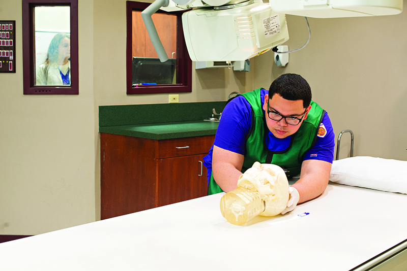 Photo of student aligning model of head for x-ray